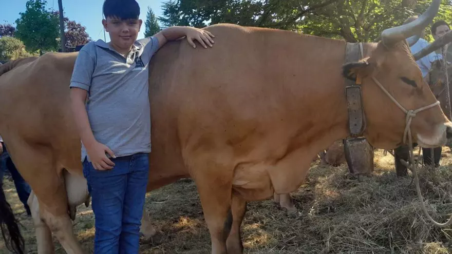 2168508f-9191-4c37-8d6d-d1bad724c9b5_16-9-aspect-ratio_default_0