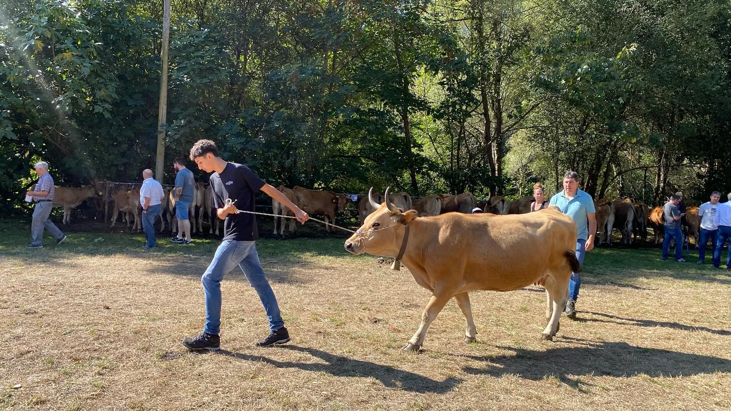 547826454_18197860471314258_2160297195906247726_n