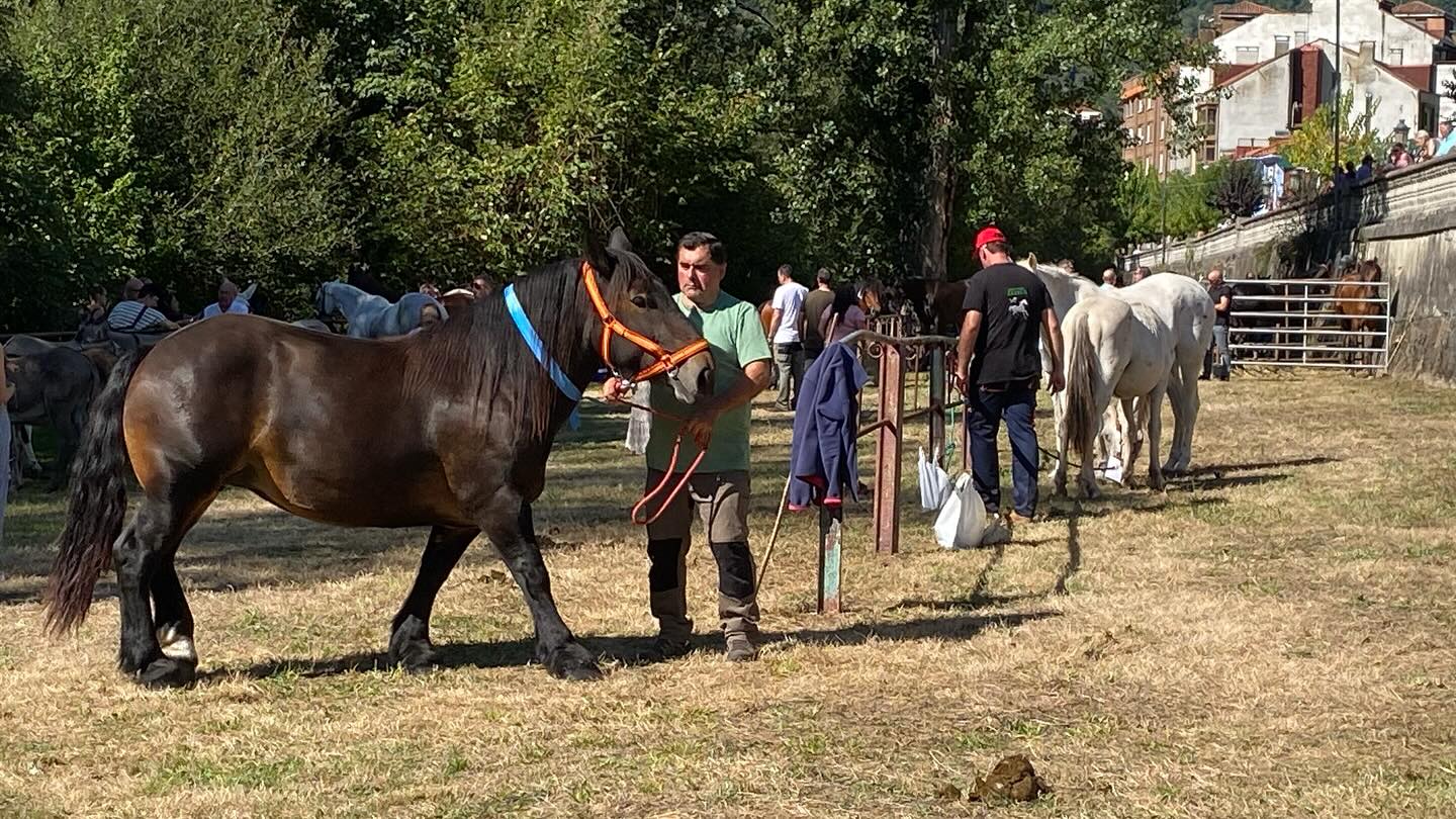 547831301_18197860516314258_1456049119222062446_n