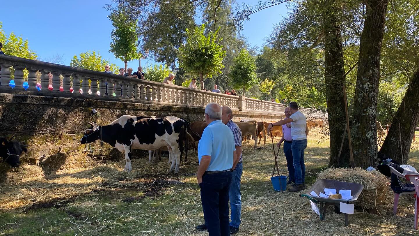 547863615_18197860480314258_2538247736571596547_n