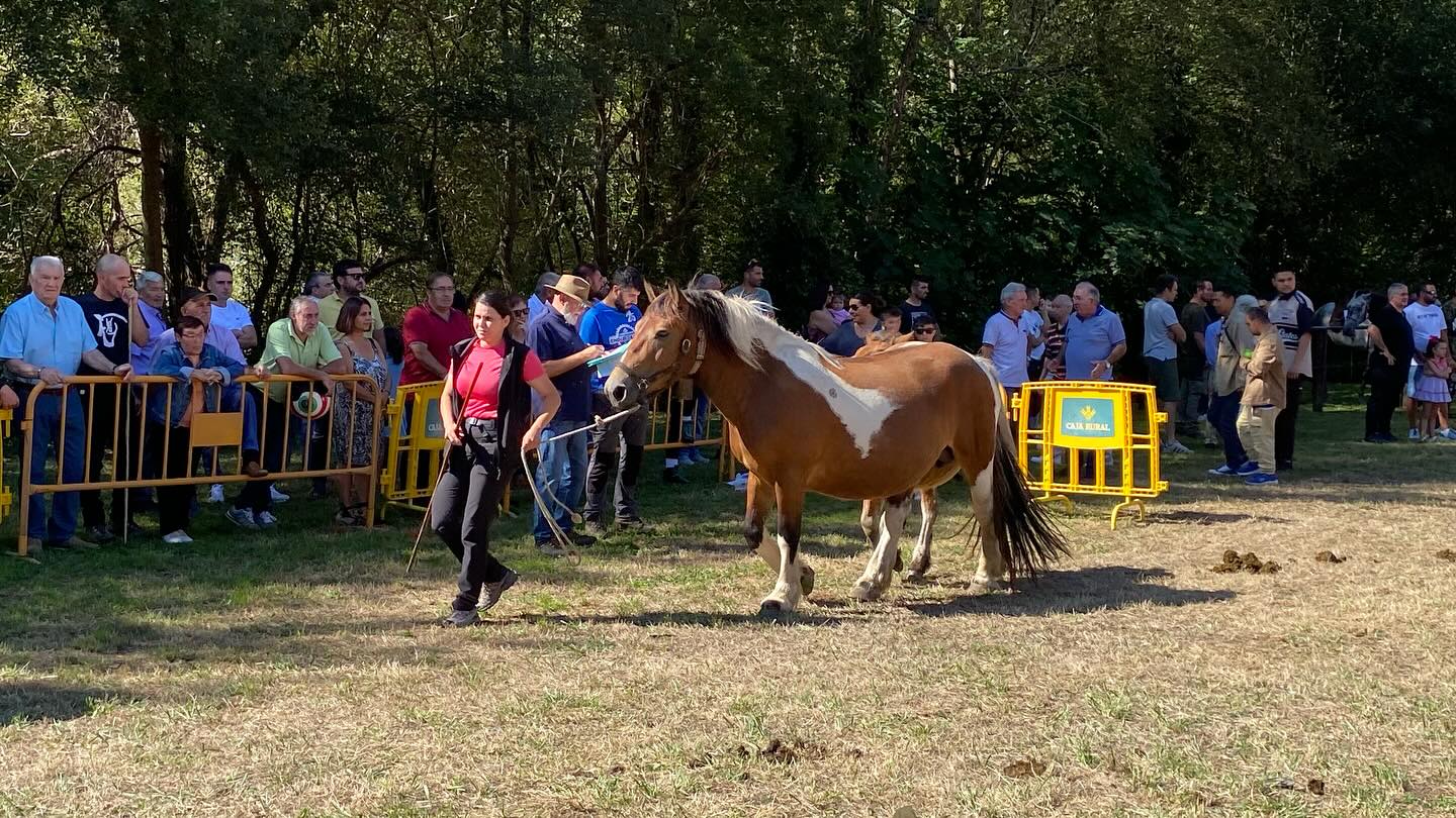 547989452_18197860525314258_6585632024419537037_n