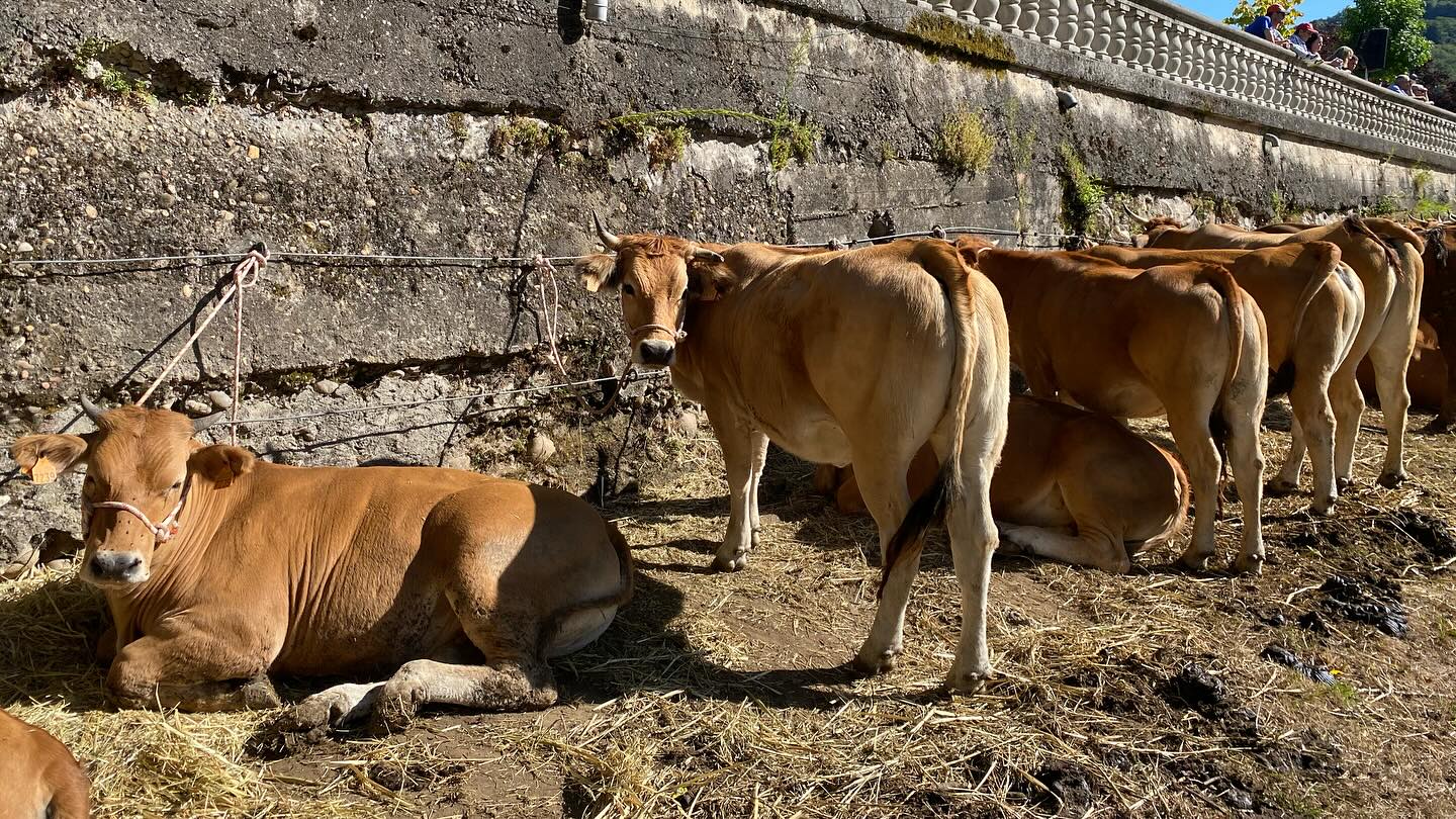 548880641_18197860507314258_2032987095848888931_n