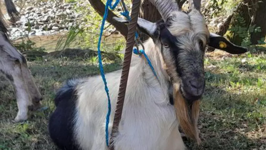 849ef926-781e-4737-a1fa-371d0ce2bf46_16-9-aspect-ratio_default_0