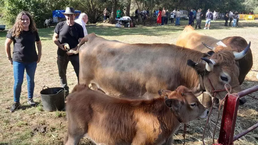 bbdc263c-a0cf-40aa-a60e-265f77675aeb_16-9-aspect-ratio_default_0